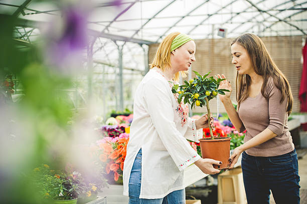 istock Shopping a Lemmon tree in a Greenhouse 544668116