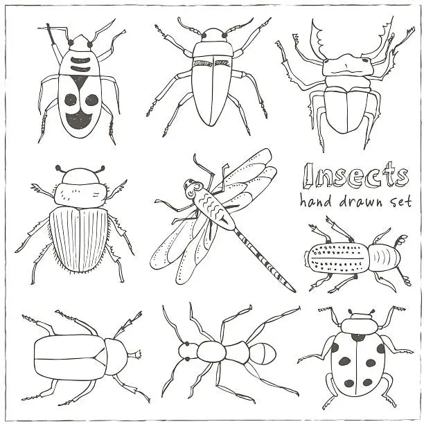 Vector illustration of Set of doodle sketch Bugs and beetles