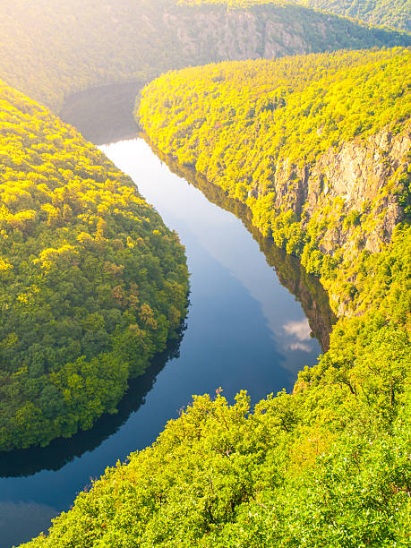 istock Vltava river forest meander in Czech Republic 544672774