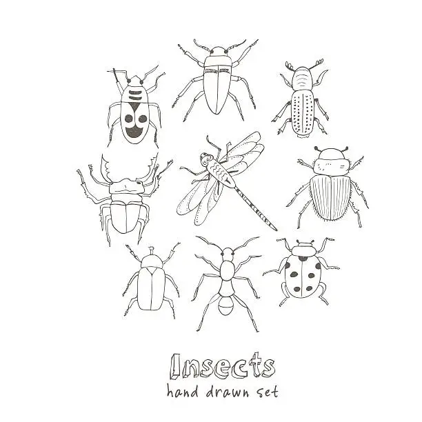 Vector illustration of Set of doodle sketch Bugs and beetles