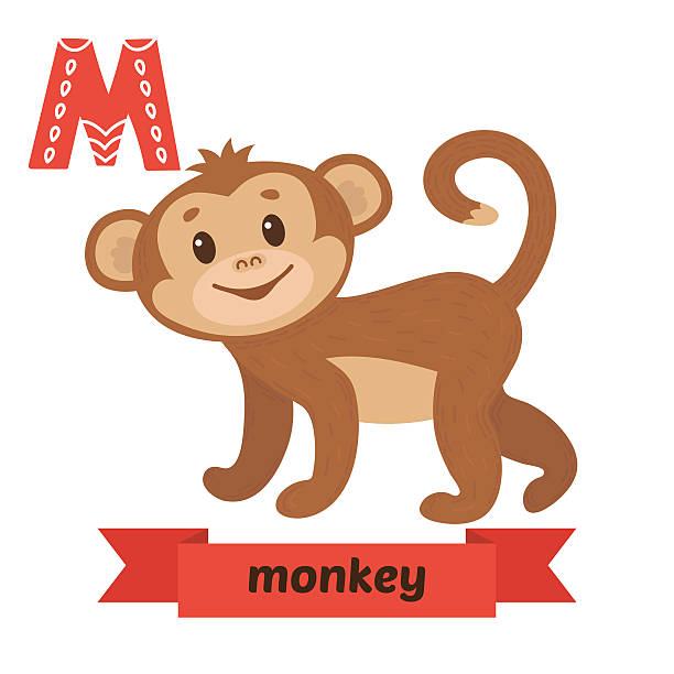 Monkey M Letter Cute Children Animal Alphabet In Vector Funny