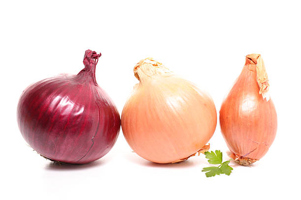 istock assortment of onion 544675414