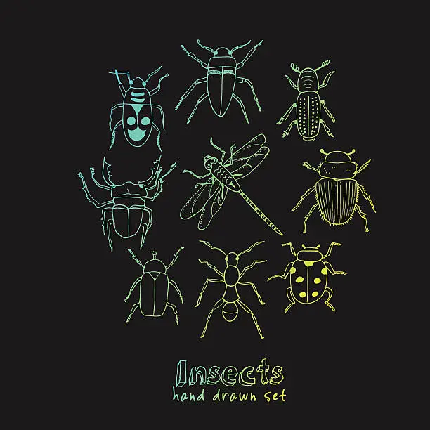 Vector illustration of Set of doodle sketch Bugs and beetles