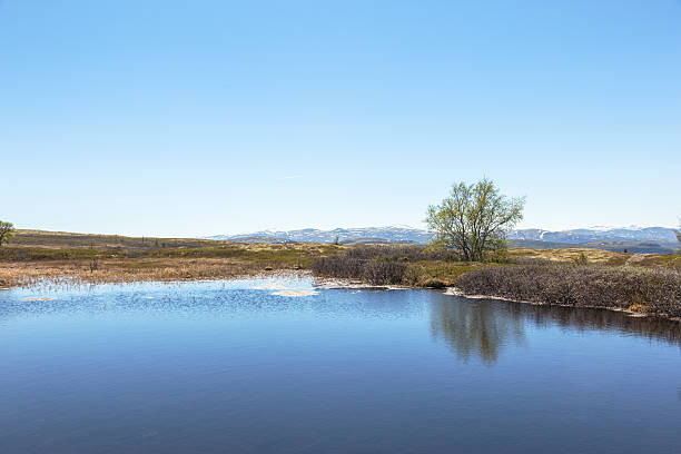 istock Summer landscape with lake  in Norwegian mountains. 544677498