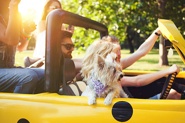 istock Friends on the road 544678188