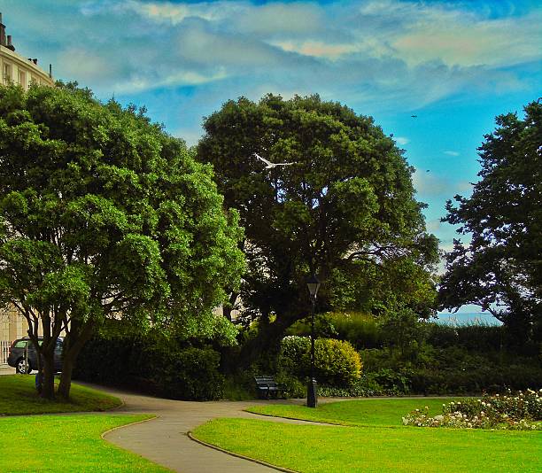 istock Brighton park with sea, horizon and seagul 544680048