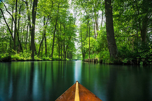 Wooden boat on a flow line in the Spree forest. Recreation area near Berlin.