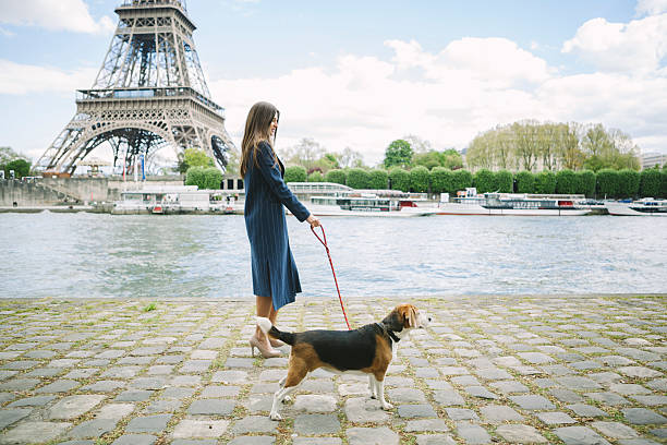 Woman Walking A Beagle On The Riverside In Paris