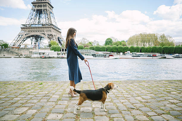 Woman Walking A Beagle On The Riverside In Paris Young woman in fashionable clothing and heals is taking a walk with her cute dog by the river near the Eiffel Tower. A big panorama of the river and the architectural landmark opens up in the image. Beautiful composition from profile with copy space available on both sides. Made in France. riverbank photos stock pictures, royalty-free photos & images