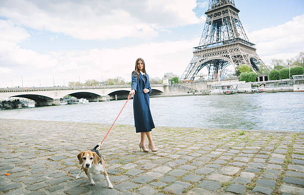 istock Woman Walking A Cute Beagle By The Seine River 544681358