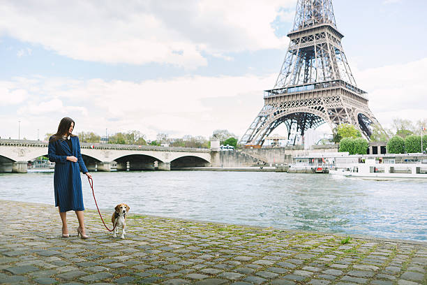 istock Woman Walking Dog On The Riverside By Eiffel Tower 544681412