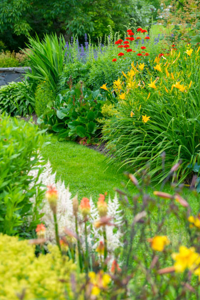 istock Colorful summer flowerbeds 544685300
