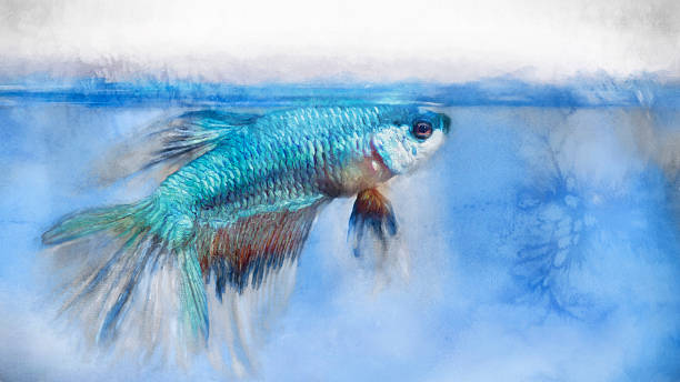 istock Watercolor paint effect, Blue Bokeh light dragon beta Fighting fish 544714382
