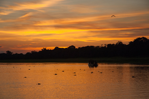 Sunset in lake Mamirauá, in the heart of the Amazon jungle