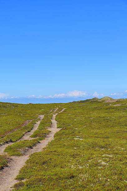 istock Anholt island, Denmark 544716504