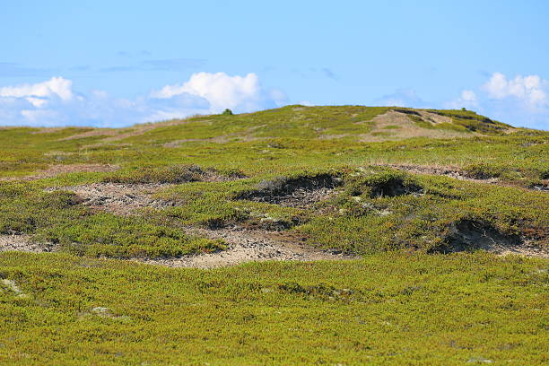 istock Anholt island, Denmark 544716840