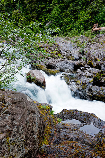 istock Along the Sold Duc cascades. 544717732