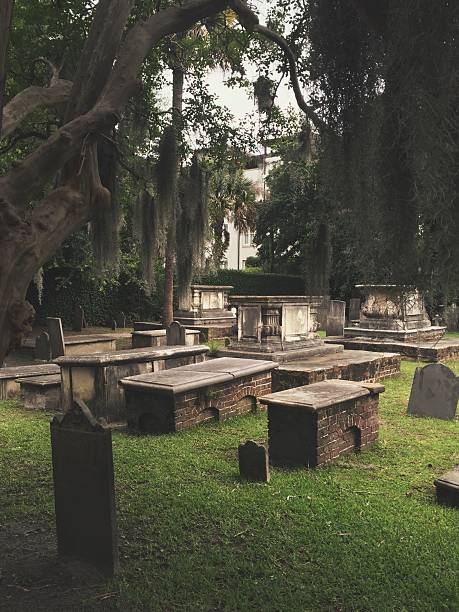 istock South Carolina Cemetery in the Evening 544720644