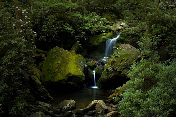 grotto falls a lo largo de roaring fork, great smoky mountains, tennessee - grotto falls fotografías e imágenes de stock