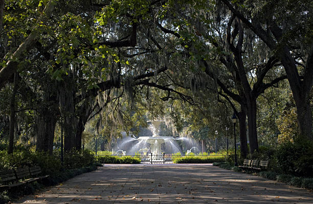 istock Forsyth Park Oaks and Fountain, Savannah, Georgia 544720910