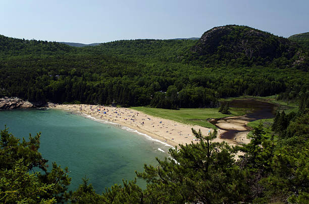 istock View over Sand Beach in Acadia National Park, Maine 544721344