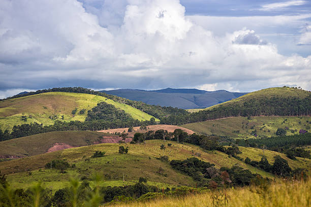 istock Brazilian tropical landscape 544722126