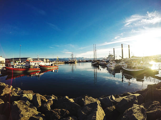 istock Ships docked at the port 544723064