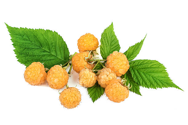 istock Heap of yellow raspberries 544727338