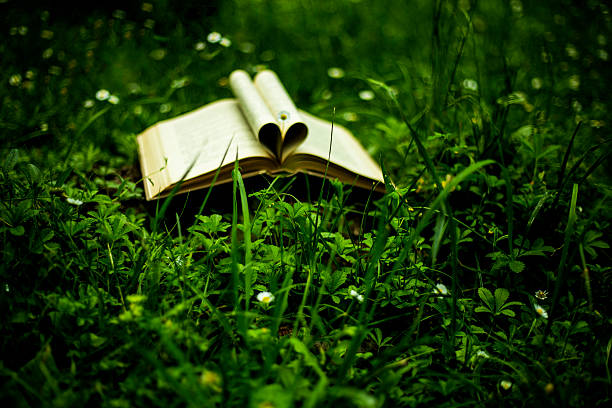 istock Close up heart shape from paper book on grass field 544727412