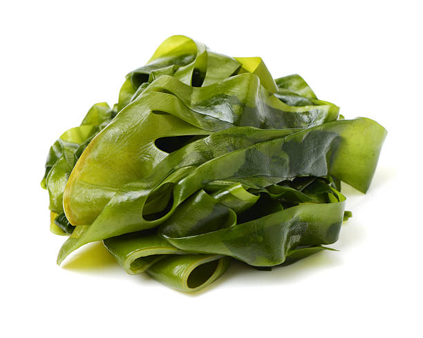 istock Laminaria (Kelp) Seaweed 544731460