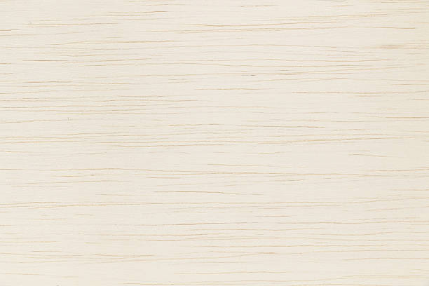 white paulownia wood texture background