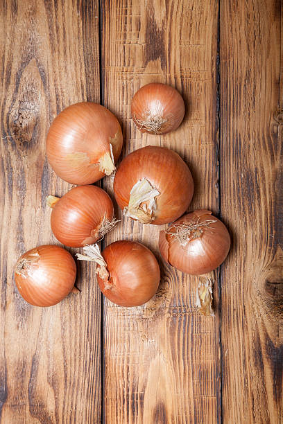 istock Fresh onion on old wooden burned table or board 544737100