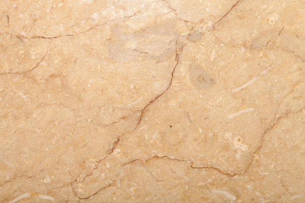 istock Surface of the stone for natural background 544737512