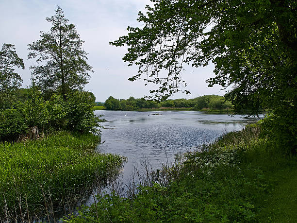 istock Sunny day on a calm pond lake in summer 544739000