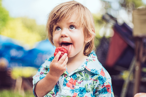 Amased and wondered smiling kid enjoying delicious strawberry , outdoors.