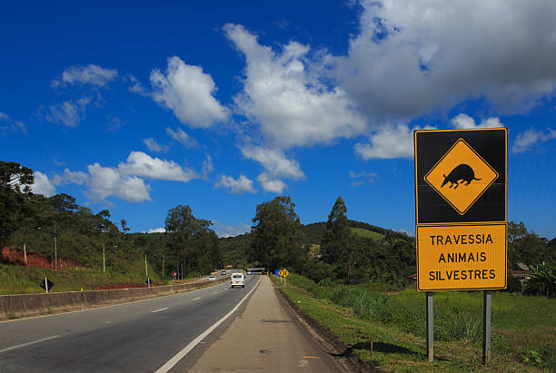 wild animals crossing wild animals crossing sign on a brazilian road at sunny day ironclad stock pictures, royalty-free photos & images