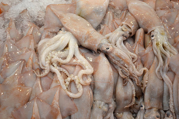 istock Squids/ sea food 544741000