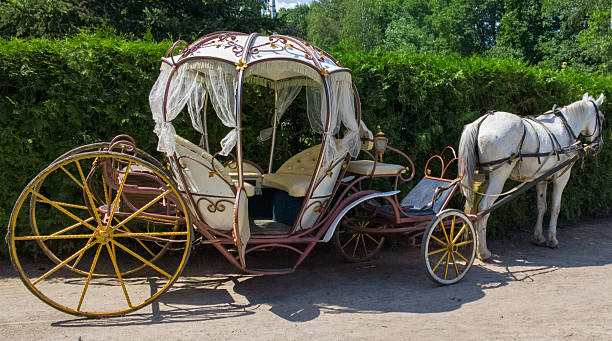 istock Carriage in the park. 544742888