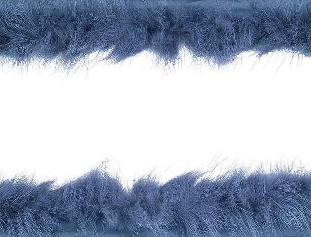 istock Strip of fur isolated over the white background 544744240
