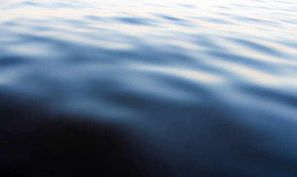istock The surface waters of the river 544744740