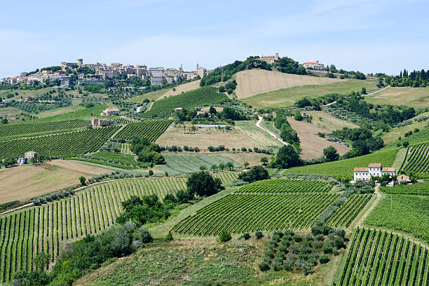 istock Acquaviva Picena small village on Marche 544744926