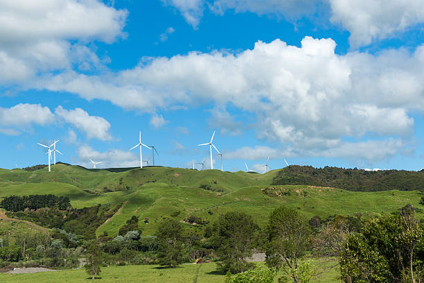 Rolling New Zealand farmland with wind turbines on horizon. Rolling New Zealand farmland with wind turbines on horizon. manawatu stock pictures, royalty-free photos & images