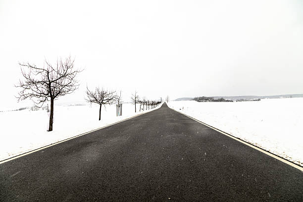 istock road in winter landscape in Thuringia 544748772
