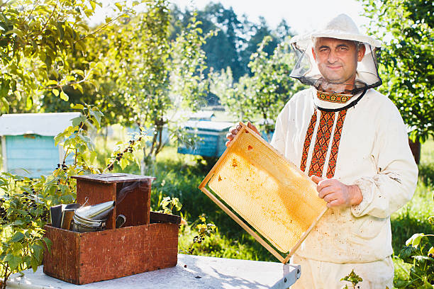 istock Beekeeper is posing with frame of honeycomb 544749818