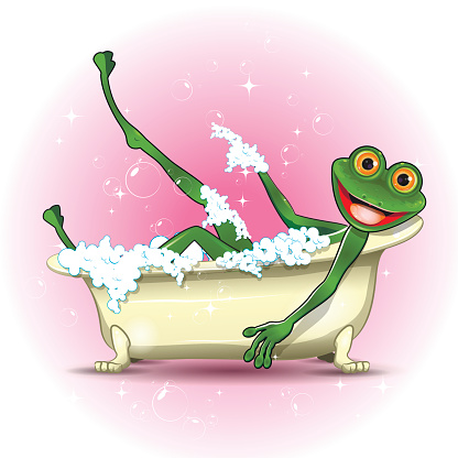 Illustration of a green frog in a bath
