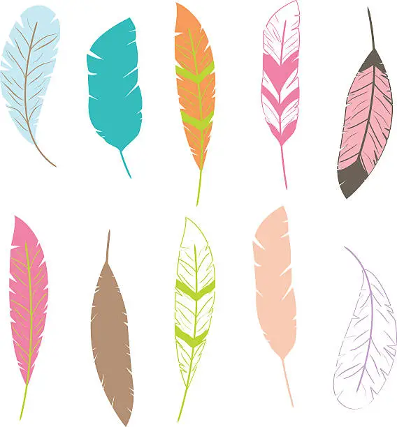 Vector illustration of Feather Clip art,Feather Pattern