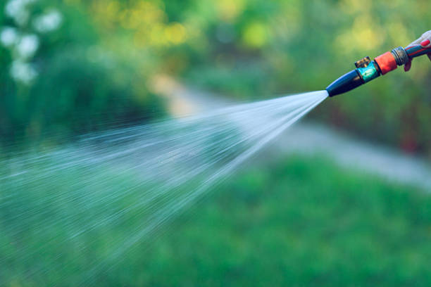 istock Watering  with a hose,  gardening concept 544752198