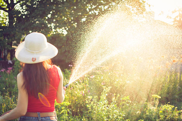 istock Watering  with a hose,  gardening concept 544752726