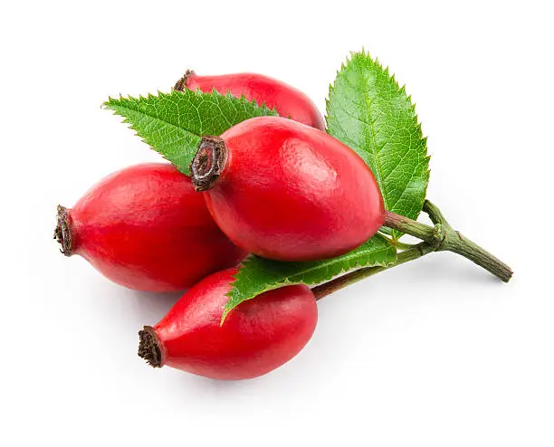 Photo of Rose hip isolated on a white background.