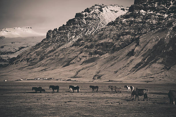 Iceland wasteland